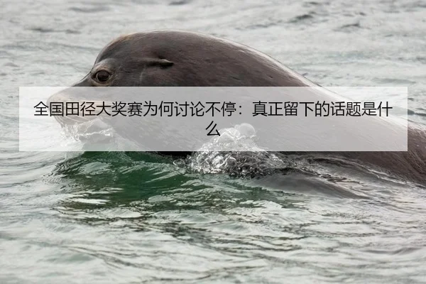 全国田径大奖赛为何讨论不停：真正留下的话题是什么